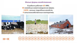 В Нижнекамске за три месяца произведено 5515 тонн мяса