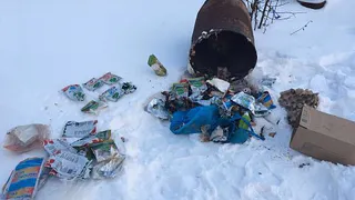 В Татарстане школьники отравились "просрочкой"