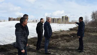 Отремонтировать дворы, установить ливневки, вырубить старые деревья, посадить новые, снести заброшенные ларьки
