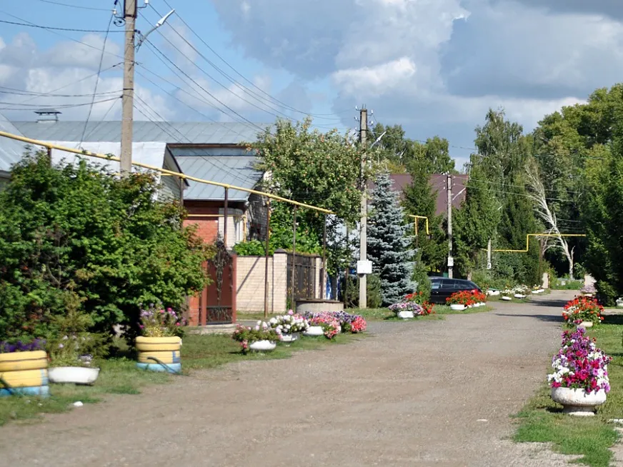 В Большом Афанасово Нижнекамского района обсудили вопросы благоустройства