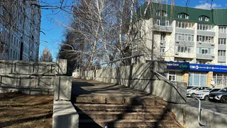 «Сделайте, пожалуйста, пандус к дому»