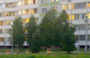 Зеленая волна катится по городу
