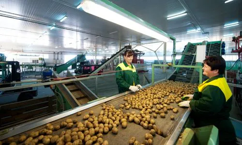 Проекты минсельхоза РТ могут получить субсидию в 20%