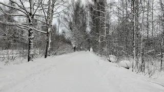 В Татарстане 2 января пройдет небольшой снег
