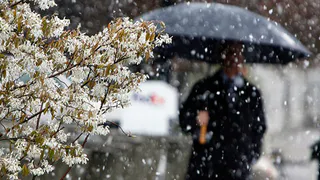 В выходные похолодает до -3°, мокрый снег, дождь