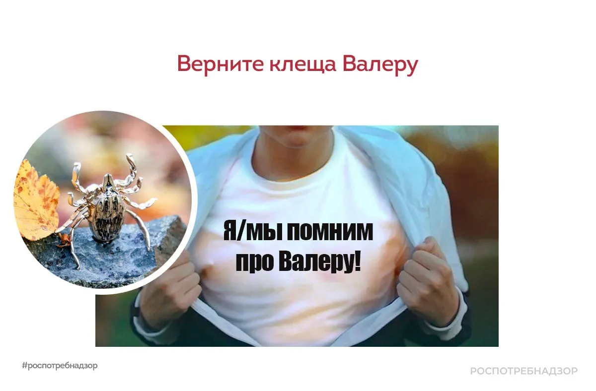 В Уфе украли памятник клещу Валере