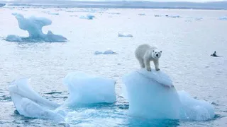 Глобальное потепление?