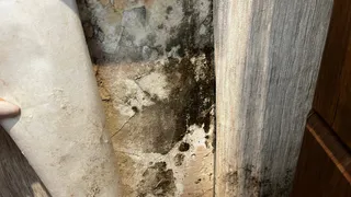 «Маляры приходили, обрабатывали стены и заштукатурили, но бесполезно!»
