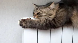 Когда в Нижнекамске дадут тепло?