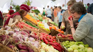 В Нижнекамске к концу 2019 года откроют агропромпарк 
