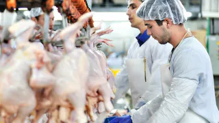 В Нижнекамске может появиться мясной кластер 