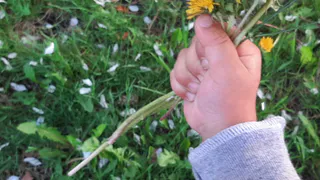 В Татарстане воздух прогреется до +26° С