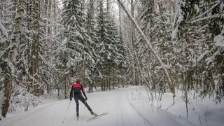 В Нижнекамске в лесу возле "Батыра" пропала лыжница