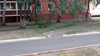В Нижнекамске над тротуаром нависла сломанная ветка