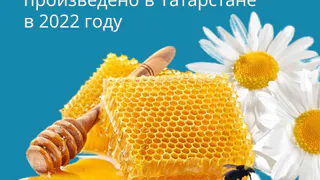 В 2022-м году пчеловоды Татарстана собрали 4 тыс. тонн сладкого «золота»