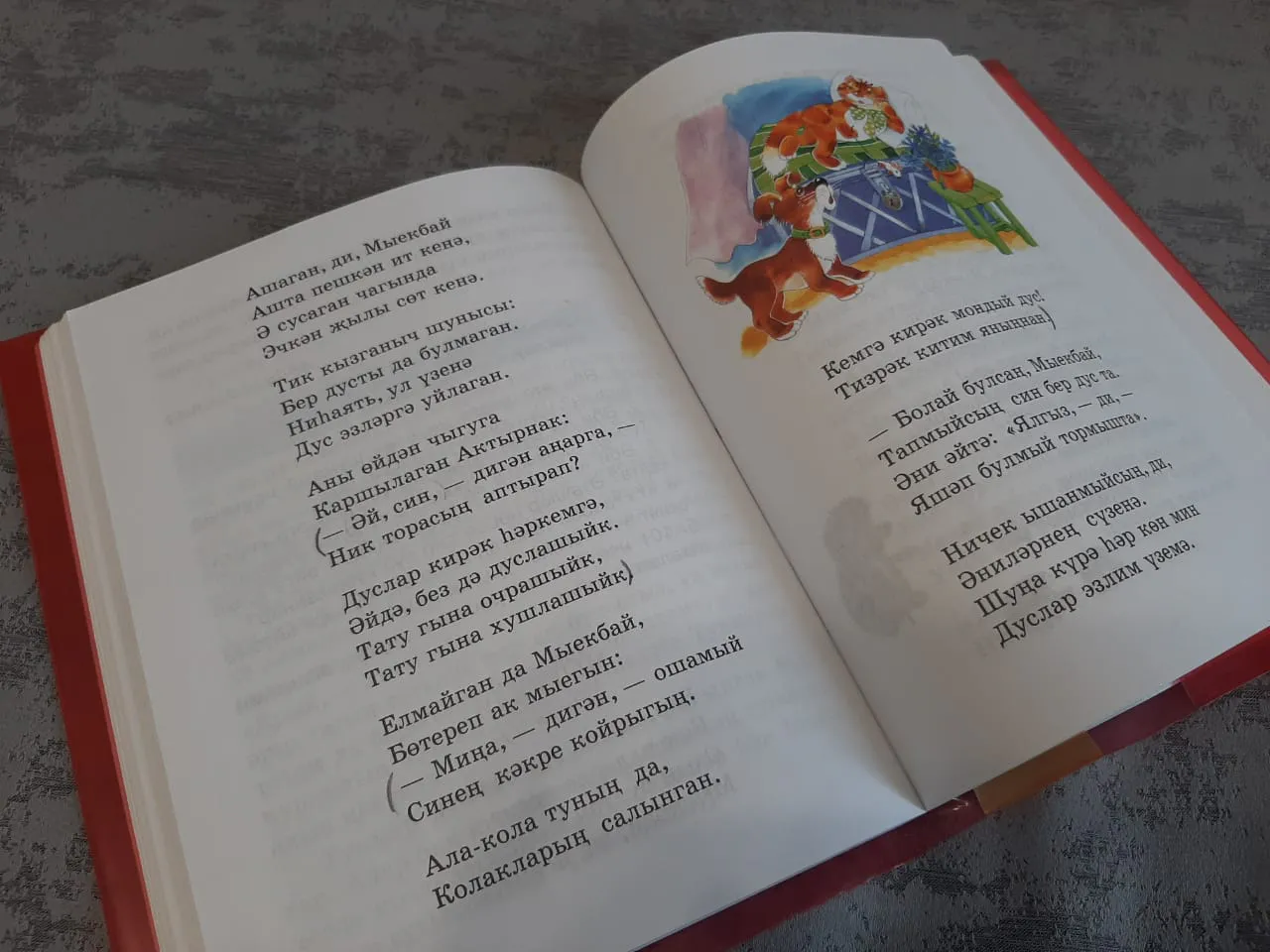 Татарстан предложил включить в федеральный перечень еще 32 учебника по татарскому языку