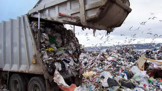 Прошлогодние пожары помогли