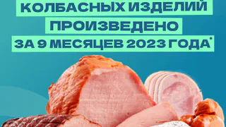За 9 месяцев в Татарстане произведено 22 тыс. тонн колбасных 
