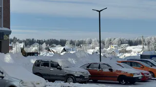 Что значит синяя разметка на дорогах, и когда за нее выписывают большой штраф - автоюрист объяснил на пальцах