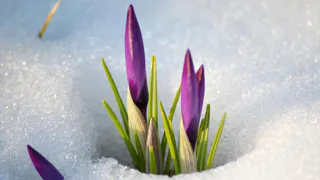 Погода в Нижнекамске: запахло весной