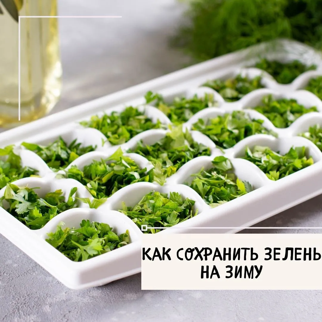 Как сохранить зелень на зиму?