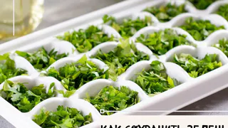 Как сохранить зелень на зиму?