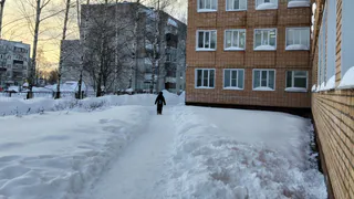 Снег пролежит до мая? Вот когда в центральные регионы придет настоящая весна 