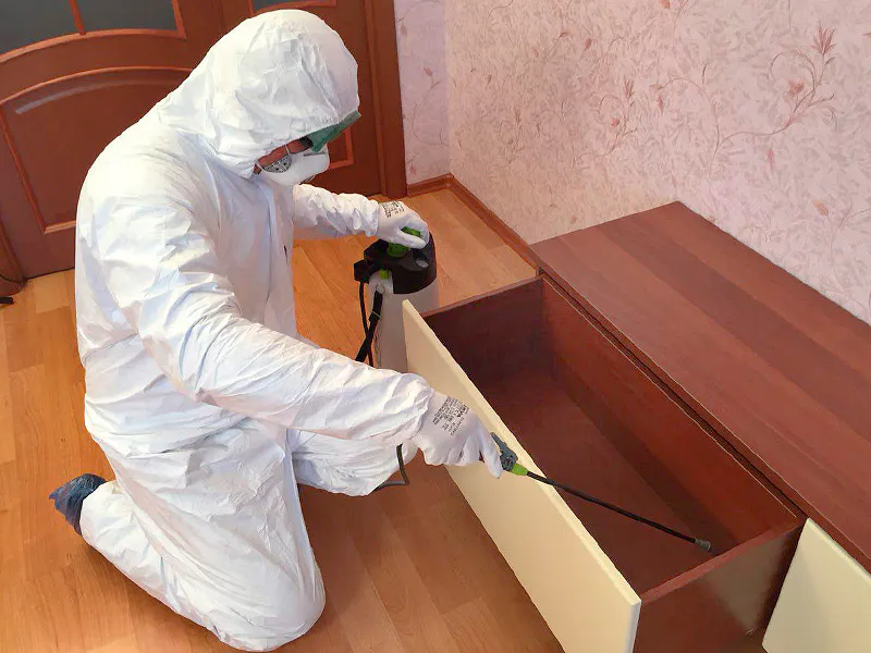 Нашествие тараканов случилось в одном из домов Нижнекамска