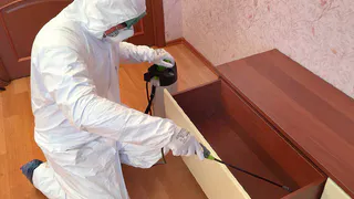 Нашествие тараканов случилось в одном из домов Нижнекамска 