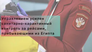 Усилен санитарно-карантинный контроль за рейсами, прибывающими из Египта