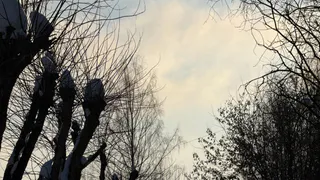 Снег пролежит до мая: метеорологи рассказали, когда придет настоящая весна