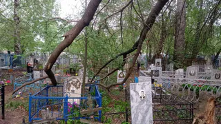 «Сломанные деревья падают прямо на памятники»