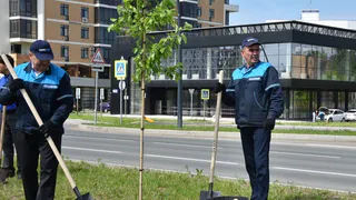 В Нижнекамске появится сквер Николая Зеленова