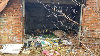 Гость Нижнекамска: "Нас шокировала свалка в центре города"