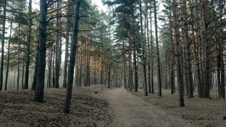 С завтрашнего дня в Татарстане объявлено штормовое предупреждение