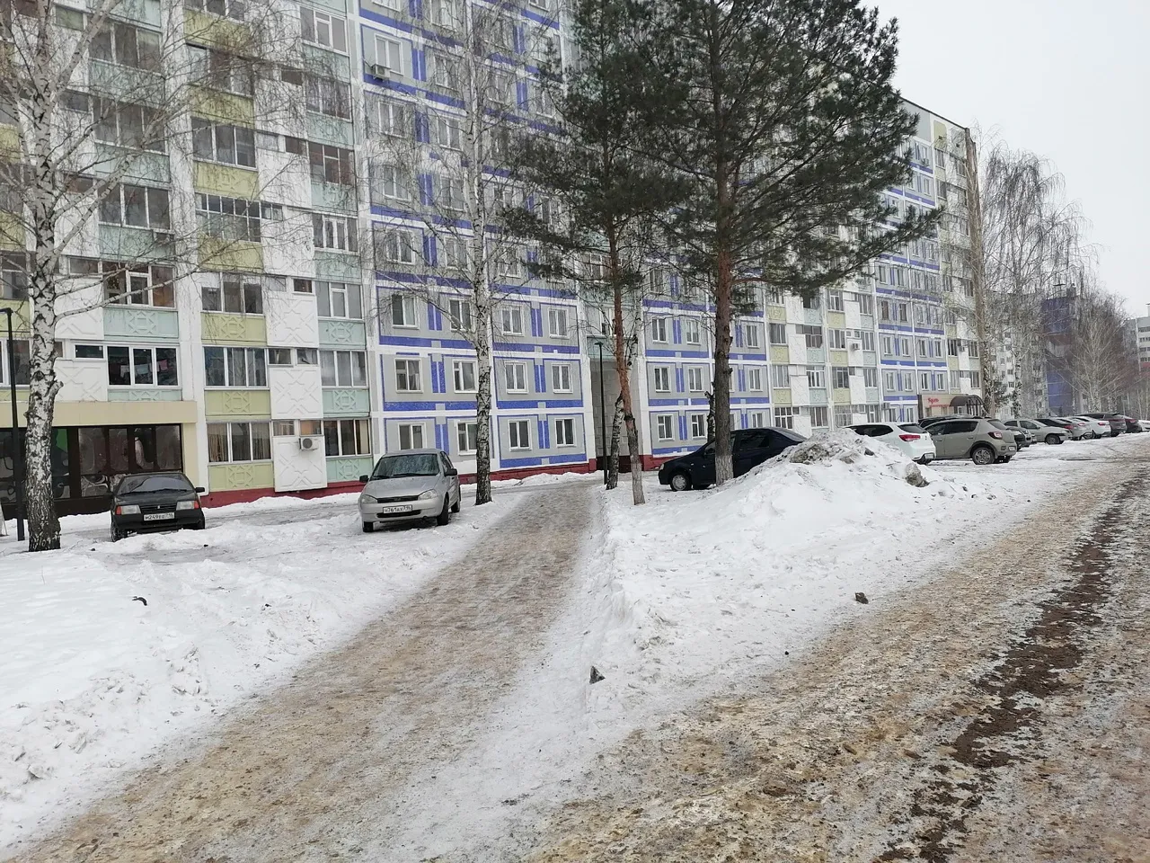 «Автомобили разводят грязь, портят газон и вид города»