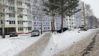 «Автомобили разводят грязь, портят газон и вид города»