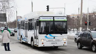 Дождались! Скоро на рейс выйдут новые автобусы