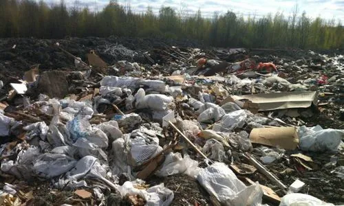 В Нижнекамском районе обнаружена незаконная свалка