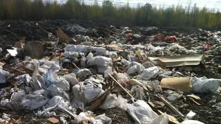 В Нижнекамском районе обнаружена незаконная свалка
