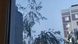 Необычная проблема возникла у нижнекамца – за окном образовался осиный улей