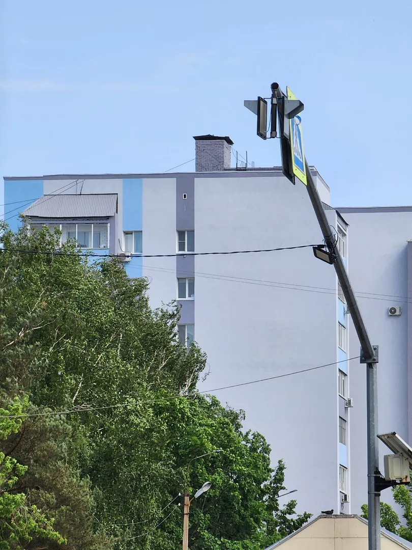 «Одна серость, аж глаза режет… будто плесенью дом зарастает»