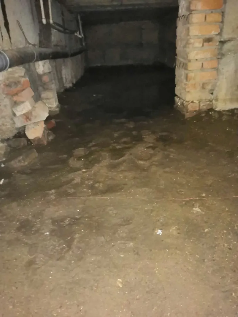 Картина в подвале многоквартирного дома: «Там море фекалий, все залито зловонной жижей»