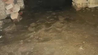 Картина в подвале многоквартирного дома: «Там море фекалий, все залито зловонной жижей»