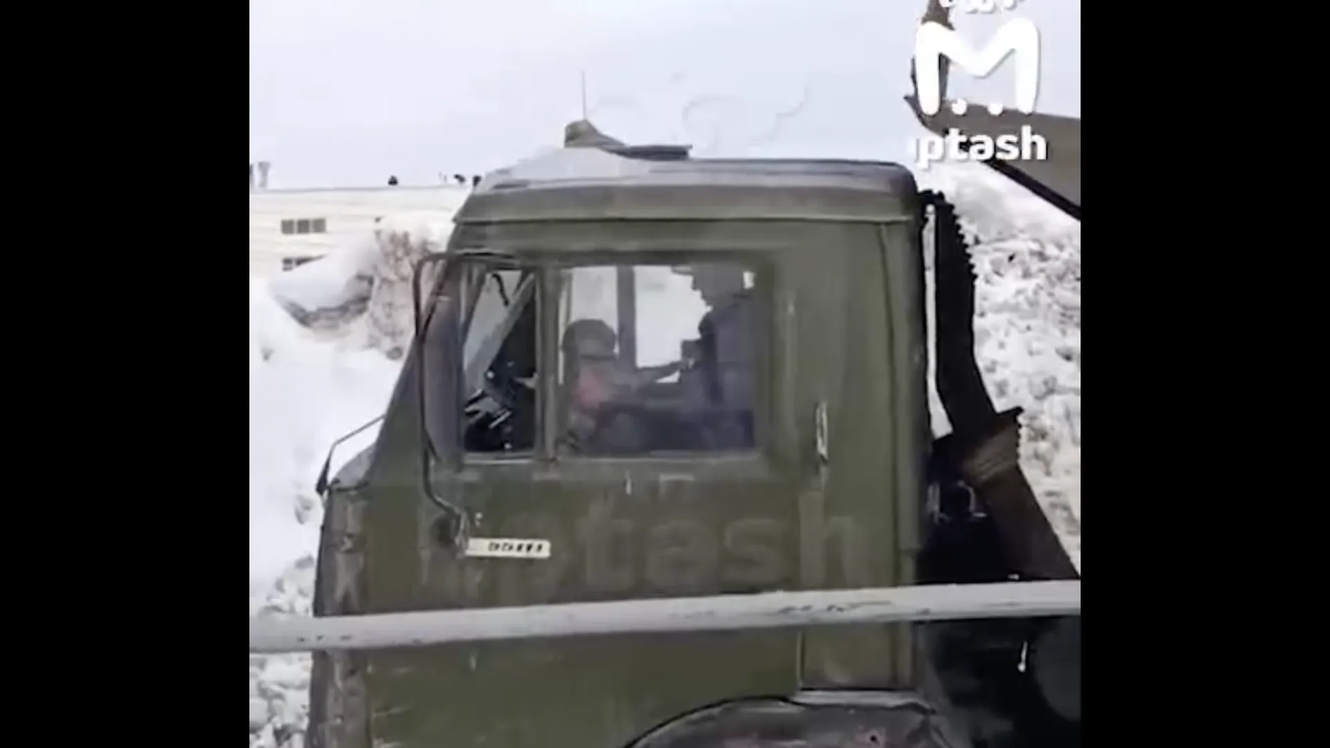 В Заинске водитель избил кота на территории сахарного завода