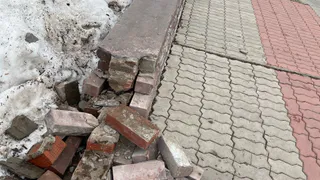 Нижнекамцы жалуются на голые газоны и разруху в парке Шинник