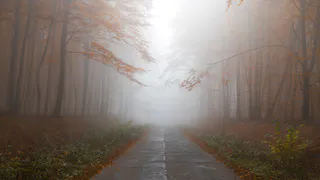 Сегодня в Нижнекамске возможен туман