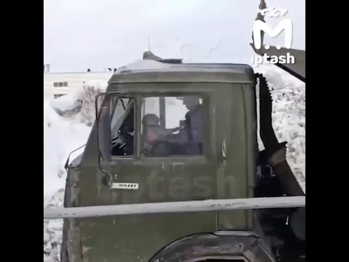 Экспертиза подтвердила насильственную смерть кошки на сахарном заводе в Заинске