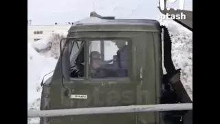 Экспертиза подтвердила насильственную смерть кошки на сахарном заводе в Заинске