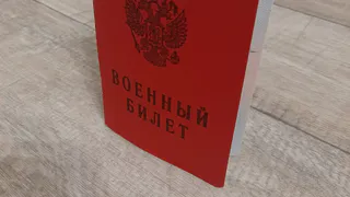 В России сохраняется отсрочка для многодетных отцов